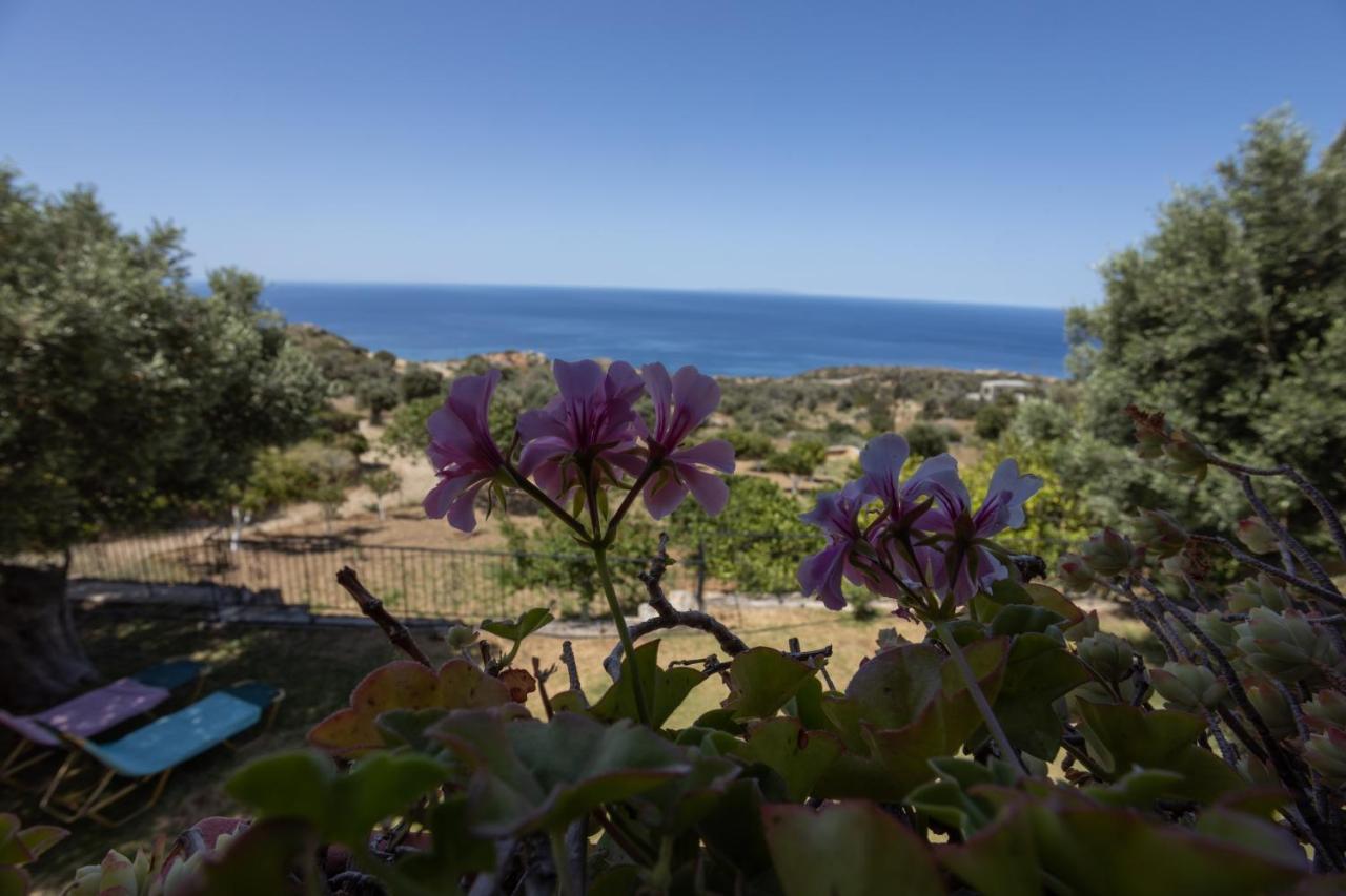 Manolis' House Villa Agia Paraskevi  Luaran gambar