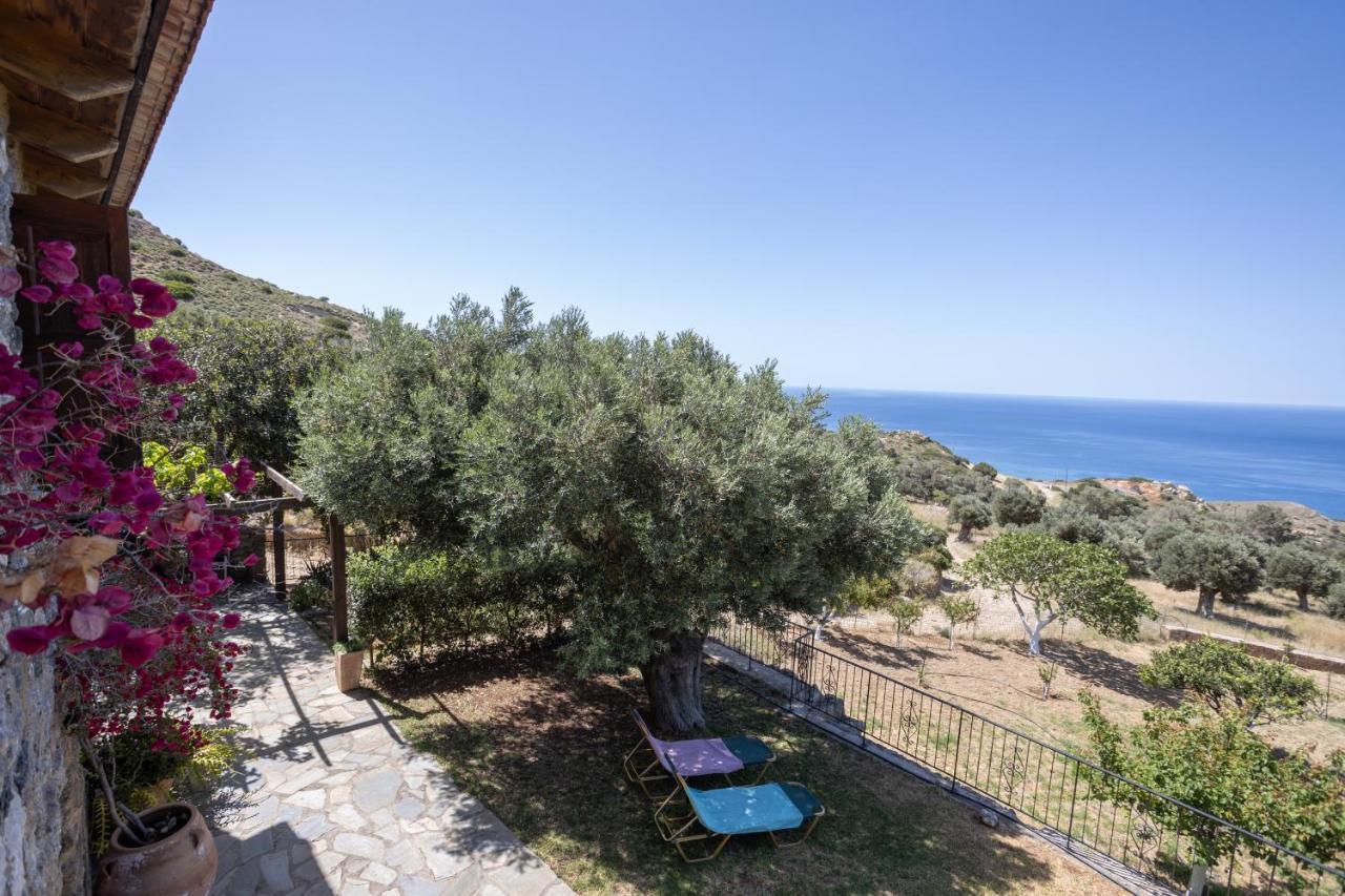 Manolis' House Villa Agia Paraskevi  Luaran gambar