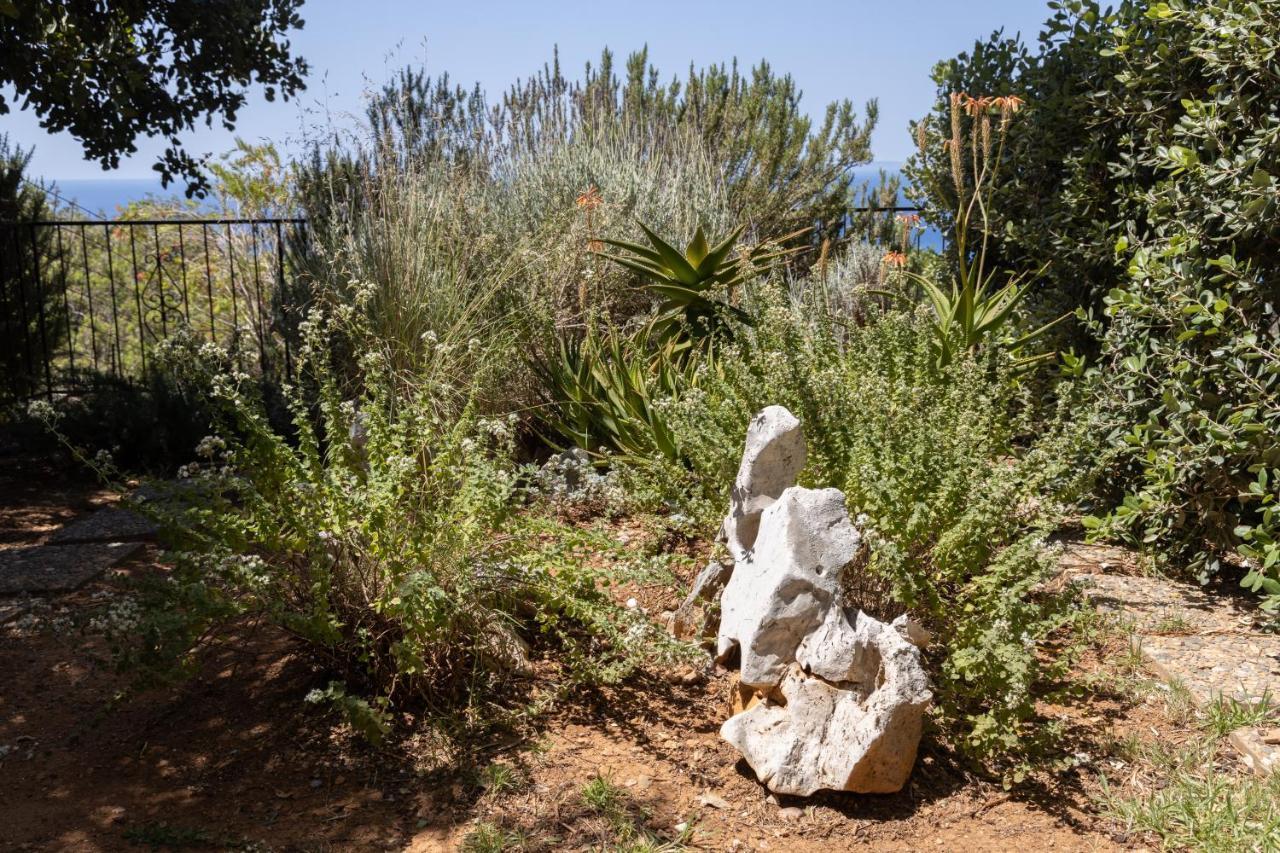 Manolis' House Villa Agia Paraskevi  Luaran gambar